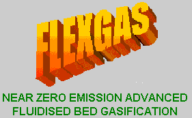 flexgas logo title grey img