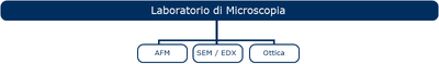 lab microscopia