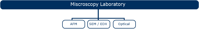 lab microscopiaEN