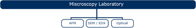 lab microscopiaEN