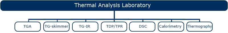 Lab TermEN